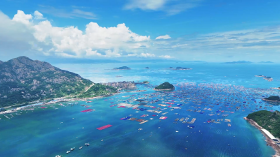 Dong Yuhui's Fujian Journey: The Sea's Lesson - 30% Destiny, 70% Determination