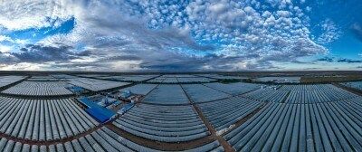 Chinese Spirulina Industry Expands Global Reach, Promoting Health and Nutrition Benefits